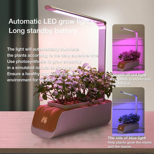 Desk Lamp Hydroponic Indoor Herb Garden Kit – Smart LED Grow Light for Herbs, Vegetables & Flowers