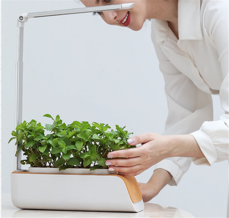 Desk Lamp Hydroponic Indoor Herb Garden Kit – Smart LED Grow Light for Herbs, Vegetables & Flowers