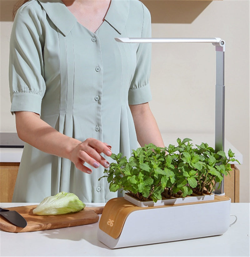 Desk Lamp Hydroponic Indoor Herb Garden Kit – Smart LED Grow Light for Herbs, Vegetables & Flowers