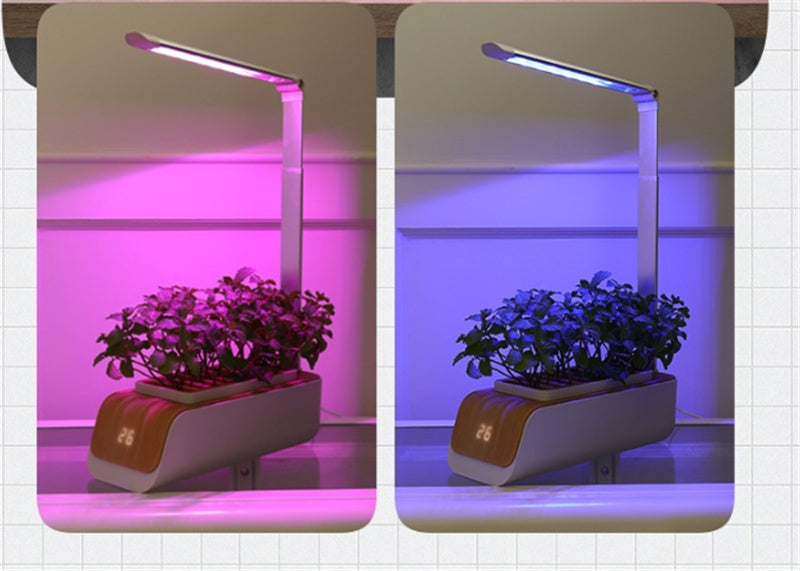 Desk Lamp Hydroponic Indoor Herb Garden Kit – Smart LED Grow Light for Herbs, Vegetables & Flowers