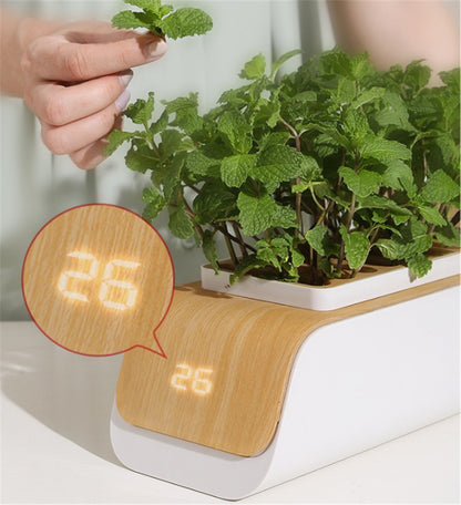 Desk Lamp Hydroponic Indoor Herb Garden Kit – Smart LED Grow Light for Herbs, Vegetables & Flowers