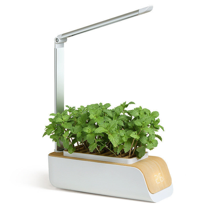 Desk Lamp Hydroponic Indoor Herb Garden Kit – Smart LED Grow Light for Herbs, Vegetables & Flowers