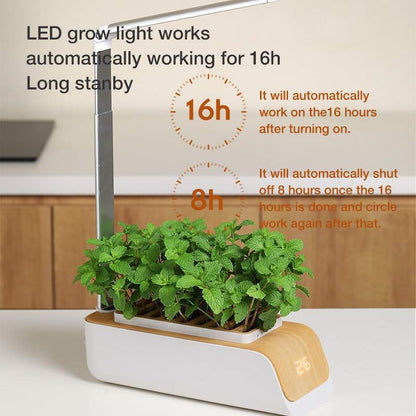 Desk Lamp Hydroponic Indoor Herb Garden Kit – Smart LED Grow Light for Herbs, Vegetables & Flowers
